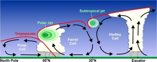 Polar Cell atmospherecirculation